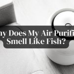 Smell Alert: Why Does My Air Purifier Smell Like Fish?