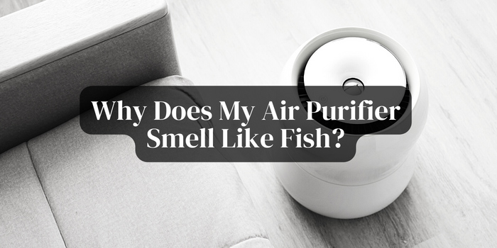 smell-alert-why-does-my-air-purifier-smell-like-fish