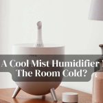 Does A Cool Mist Humidifier Make The Room Cold?