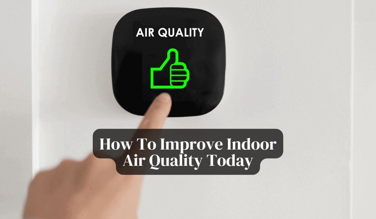 How To Improve Indoor Air Quality Today