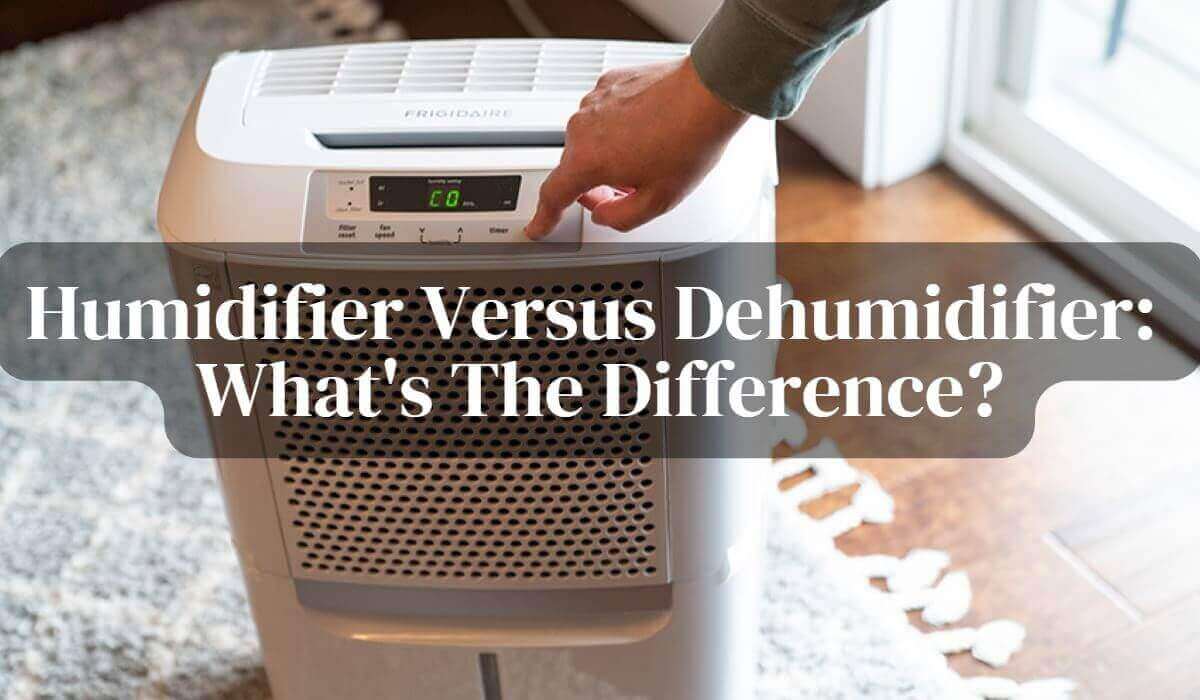 Humidifier Versus Dehumidifier Whats The Difference