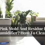 Pink Mold And Residue In Humidifier? How To Clean It