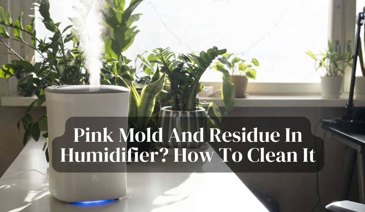 Pink Mold And Residue In Humidifier How To Clean It