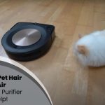 Removing Pet Hair From Air – How An Air Purifier Can Help!