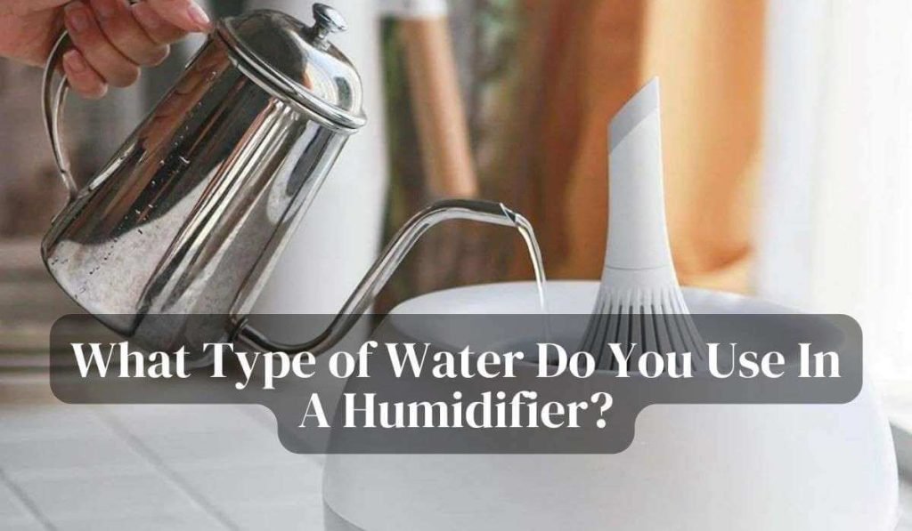What Type Of Water Do You Use In A Humidifier?