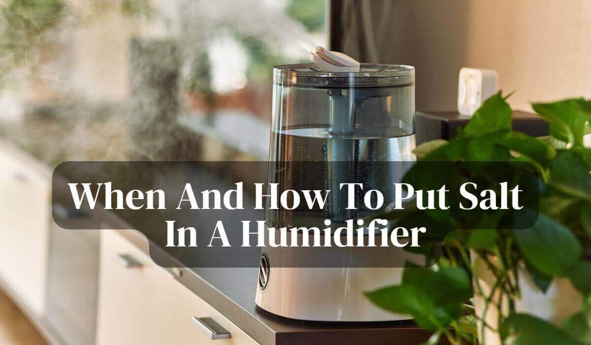 When And How To Put Salt In A Humidifier 1