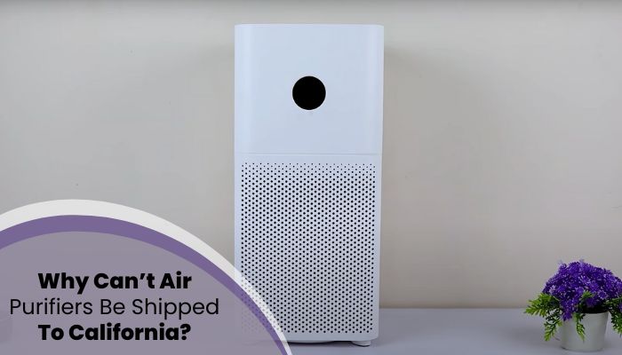Why Can’t Air Purifiers Be Shipped To California
