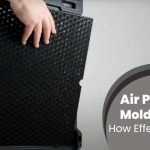 Air Purifier Mold Killer: How Effective Is It?