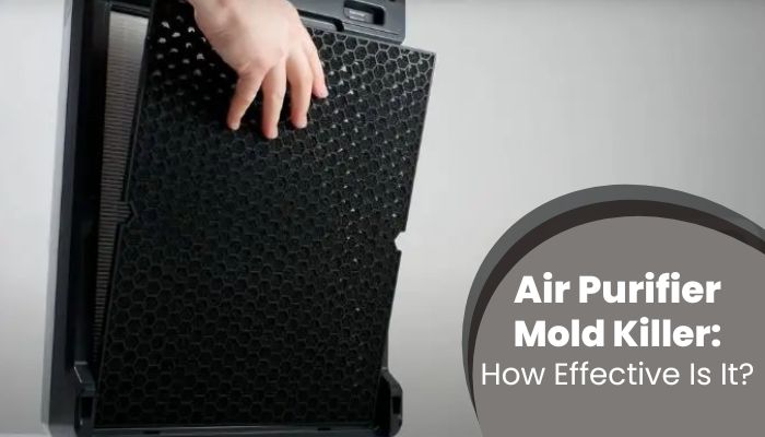 Air Purifier Mold Killer.