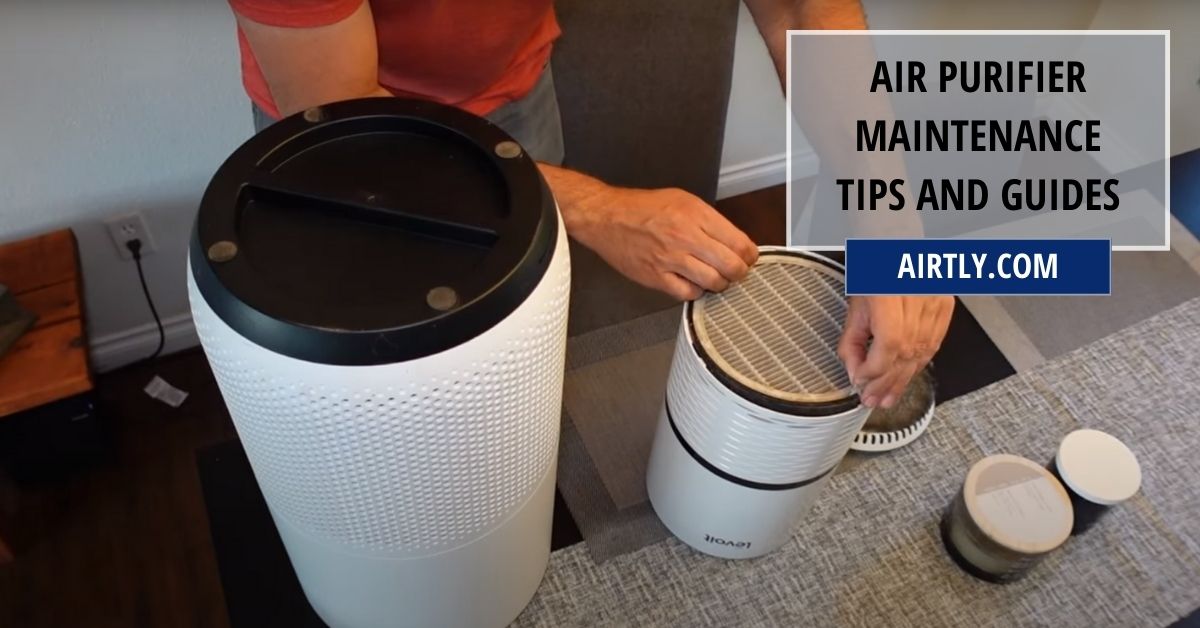 Air Purifier Maintenance Tips And Guides