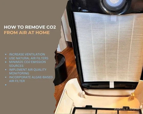 How to Remove CO2 from Air At Home