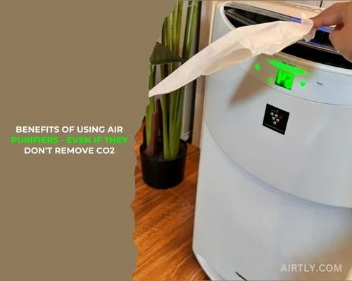 Benefits Of Using Air Purifiers, Even If They Don't Remove CO2