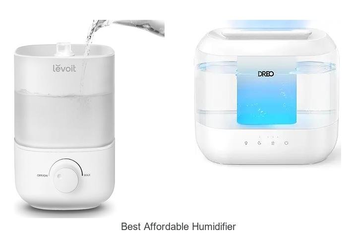 best affordable humidifier