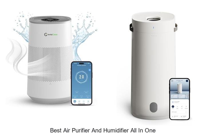 best air purifier and humidifier all in one