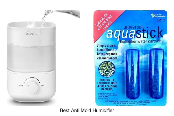 best anti mold humidifier