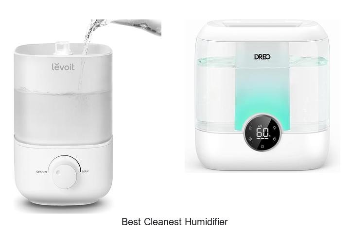 best cleanest humidifier