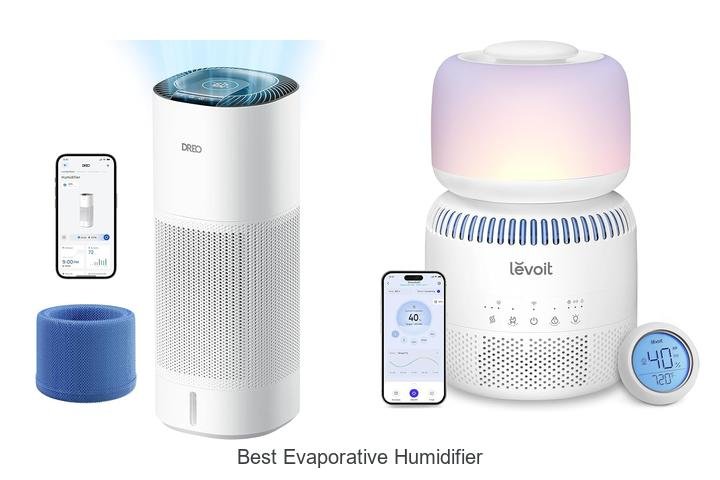 best evaporative humidifier