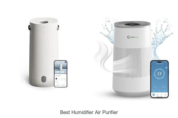 best humidifier air purifier
