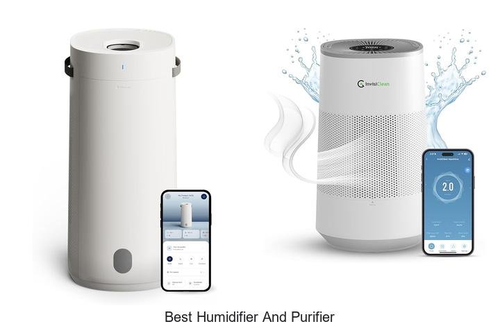 best humidifier and purifier