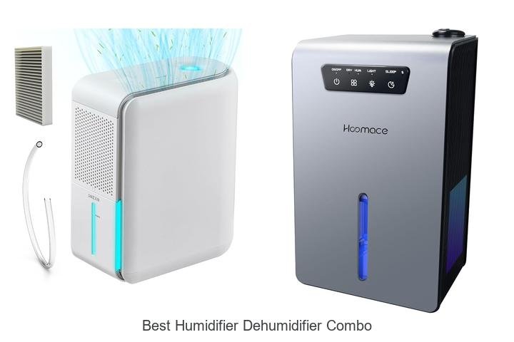 best humidifier dehumidifier combo