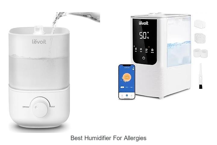 best humidifier for allergies