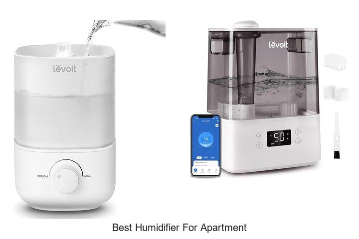 best humidifier for apartment