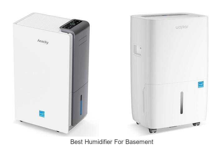 best humidifier for basement