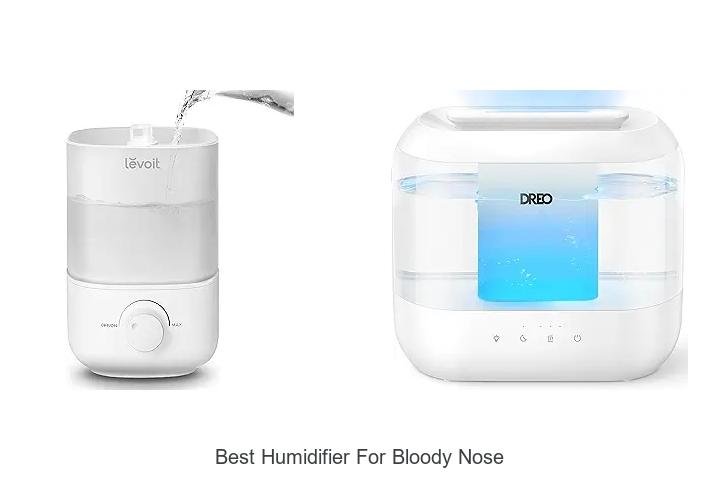 best humidifier for bloody nose