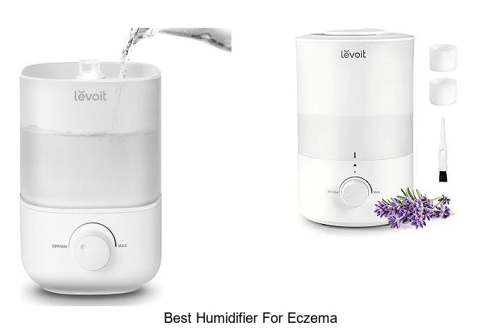 best humidifier for eczema