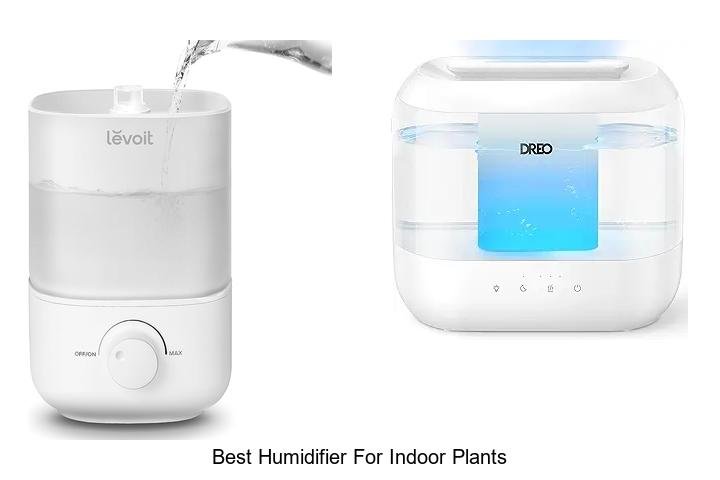 best humidifier for indoor plants