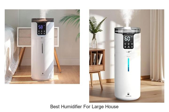 best humidifier for large house