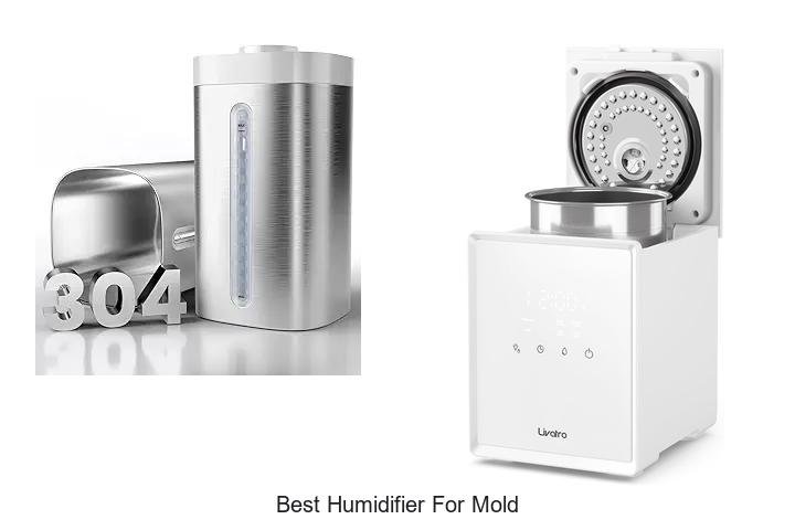 best humidifier for mold