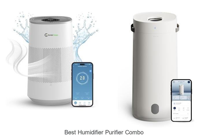 best humidifier purifier combo