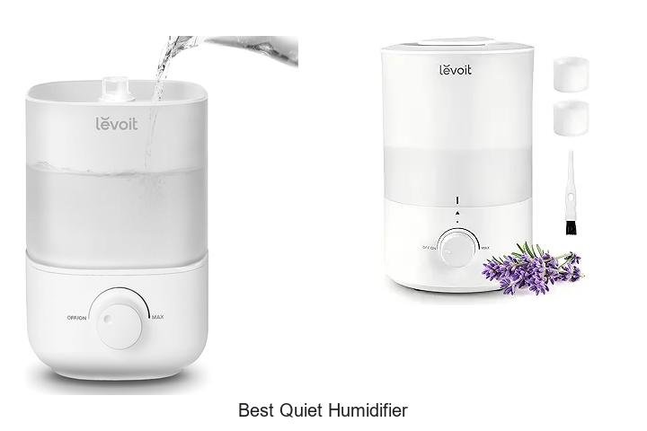 best quiet humidifier