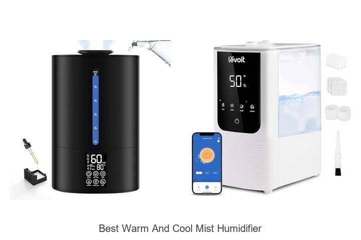 best warm and cool mist humidifier