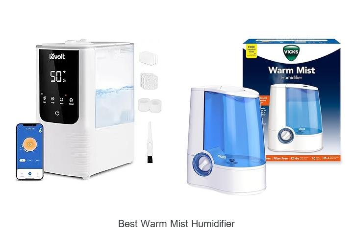 best warm mist humidifier