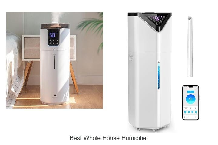 best whole house humidifier