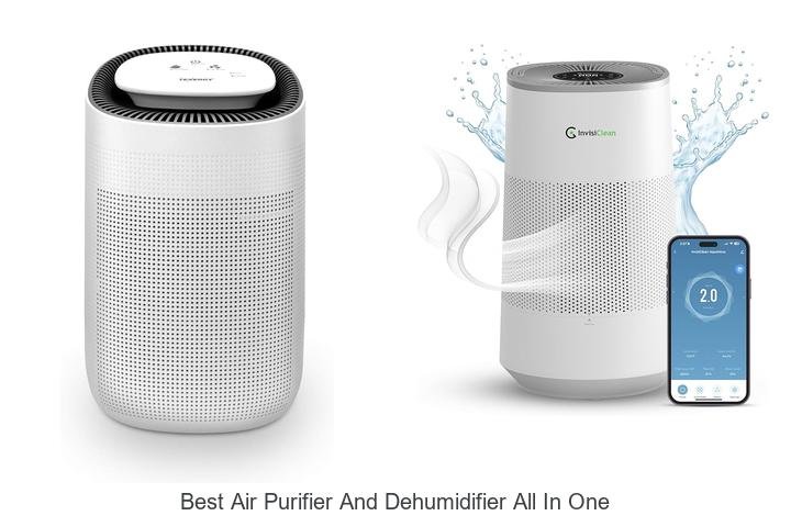 best air purifier and dehumidifier all in one