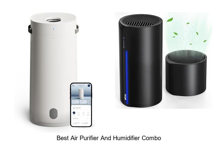best air purifier and humidifier combo