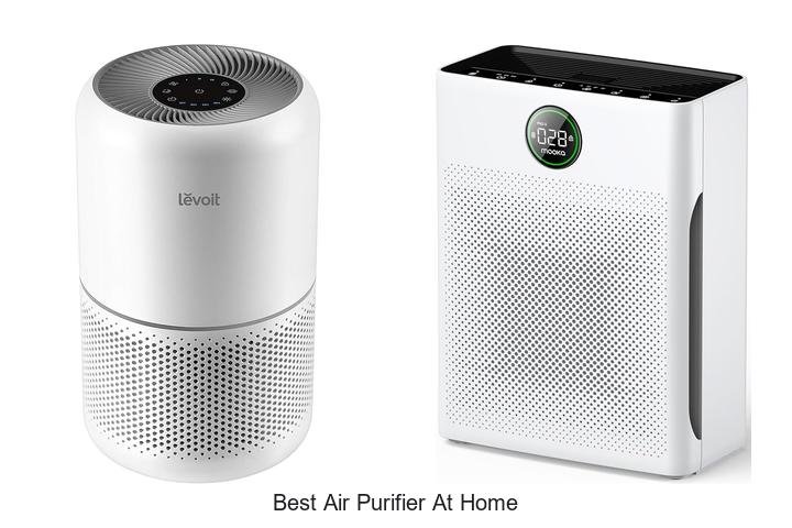 best air purifier at home