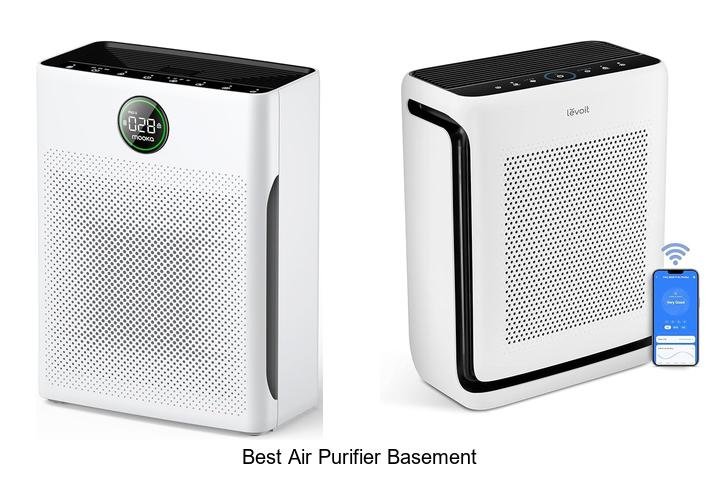best air purifier basement