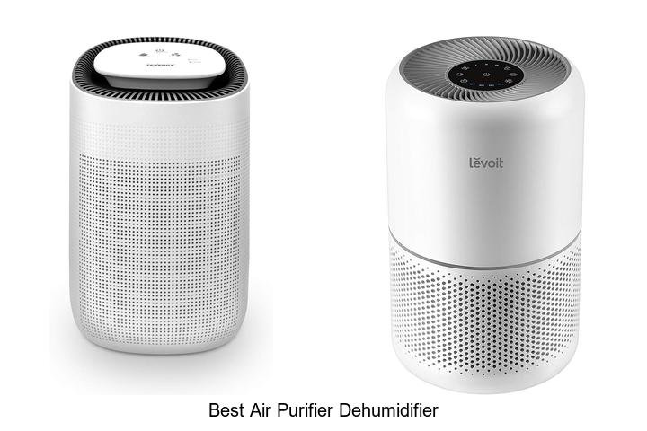 best air purifier dehumidifier
