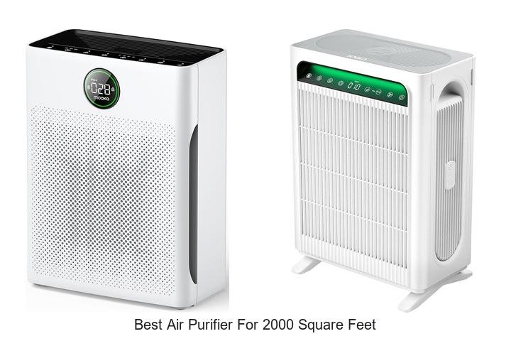 best air purifier for 2000 square feet