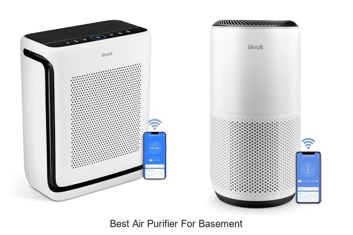 best air purifier for basement