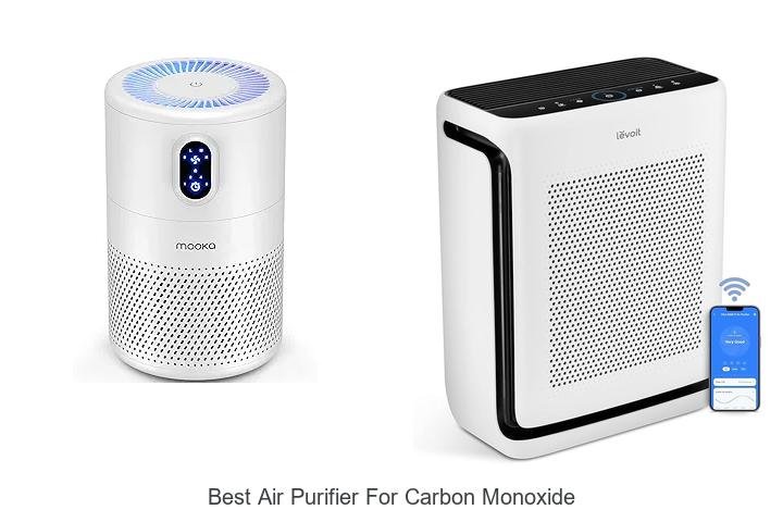 best air purifier for carbon