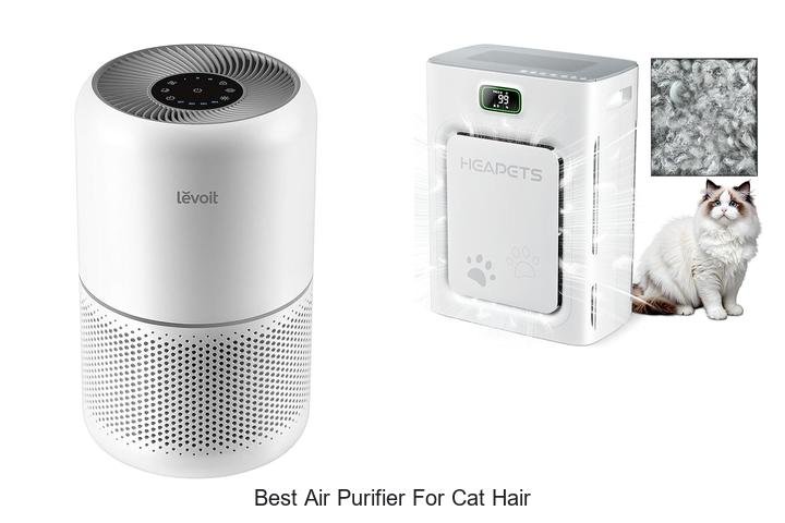 best air purifier for cat hair