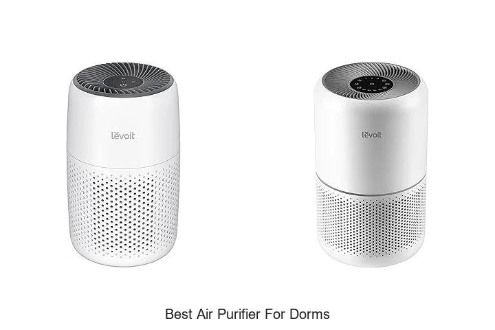 best air purifier for dorms