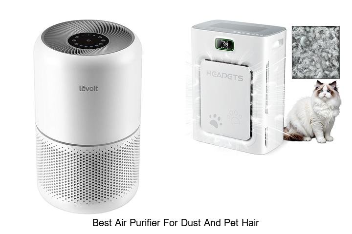 best air purifier for dust and pet hair