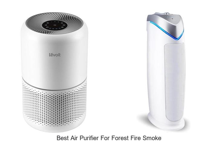 best air purifier for forest fire smoke