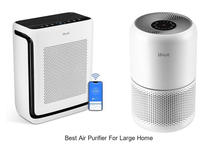 best air purifier for large home